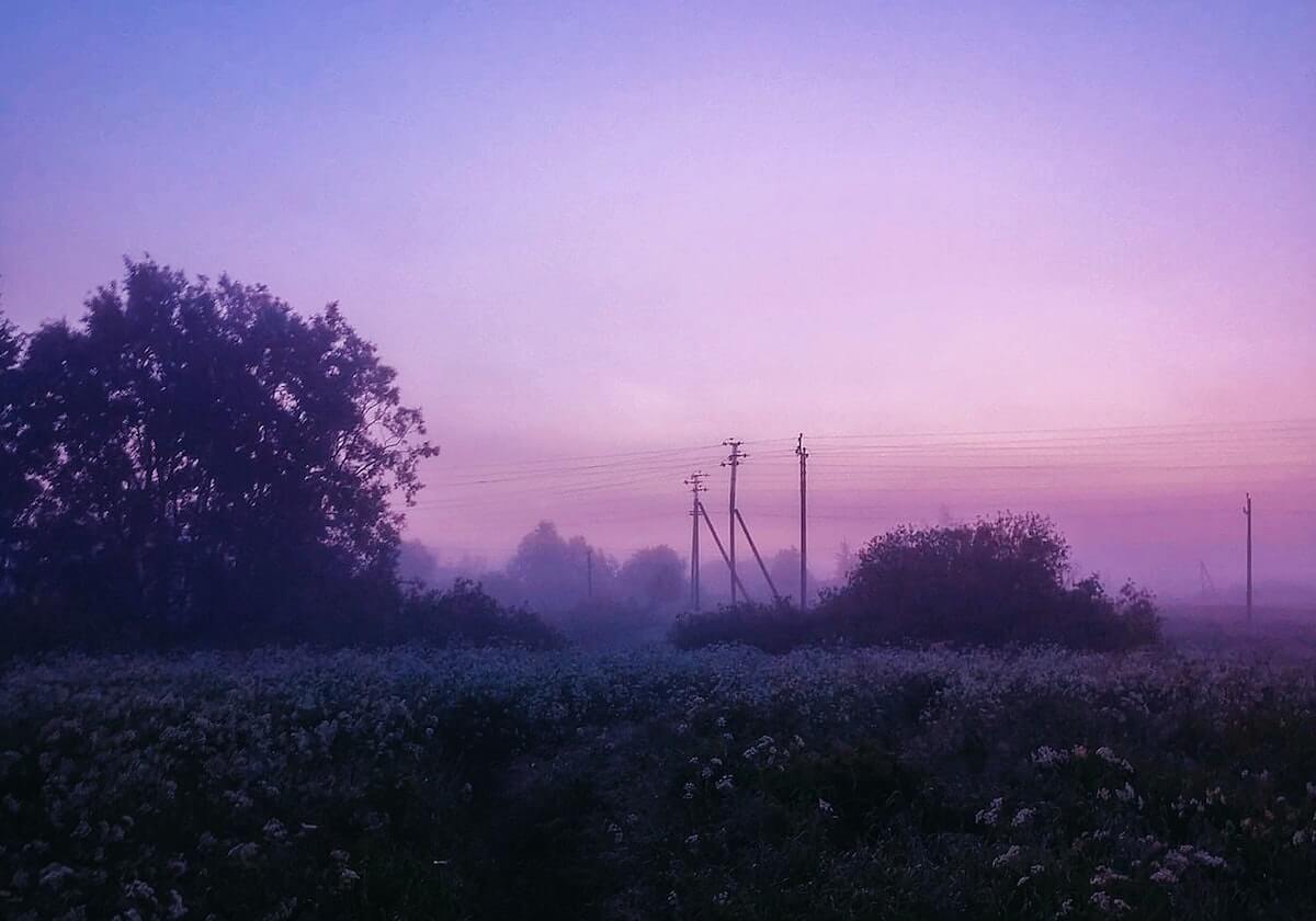 333体育｜电竞-官方网站：引领体育与电竞的新纪元